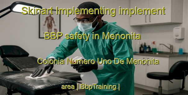Skinart Implementing implement BBP safety in Menonita  Colonia Numero Uno De Menonita area | BbpTraining | BbpClasses | SkinartTraining-Mexico